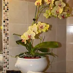 Ferienhaus Casa Marlu